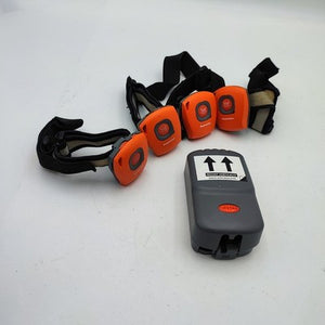 45888568